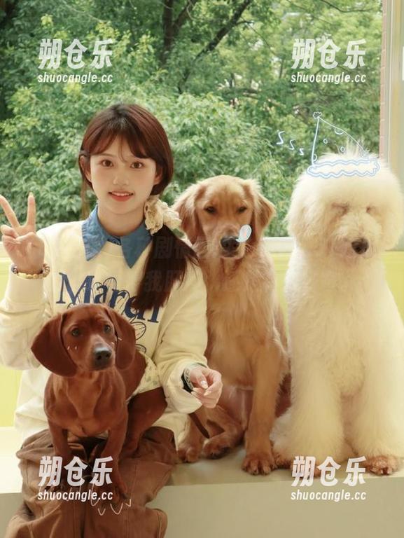 各种剧情回放，www.51吃瓜的地址看得我肝疼，还是有点好奇。