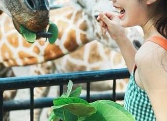 51吃瓜最新视频更新:不愧是瓜场,果真跌宕起伏!