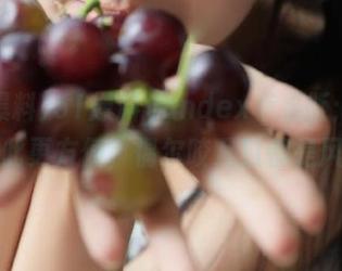 51爆料yandex苹果版：吃瓜从此更方便，偶尔咬几口都是风味