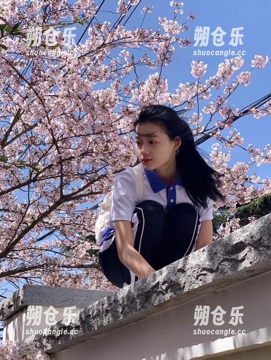 “zztt黑料”无踪，求助视频小能手，不然只能闭嘴数星星了。