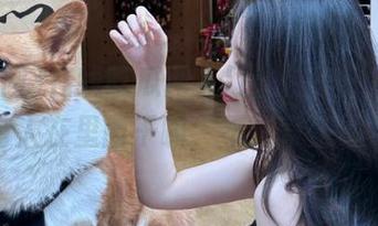 在线吃瓜网入口,快来!我也不确定有人在里面干嘛,不过肯定不无聊!