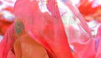 下载“网曝吃瓜”，轻松获取最新动态，明明只想吃点瓜…